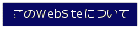 About This WebSite