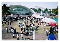 AOtFX^